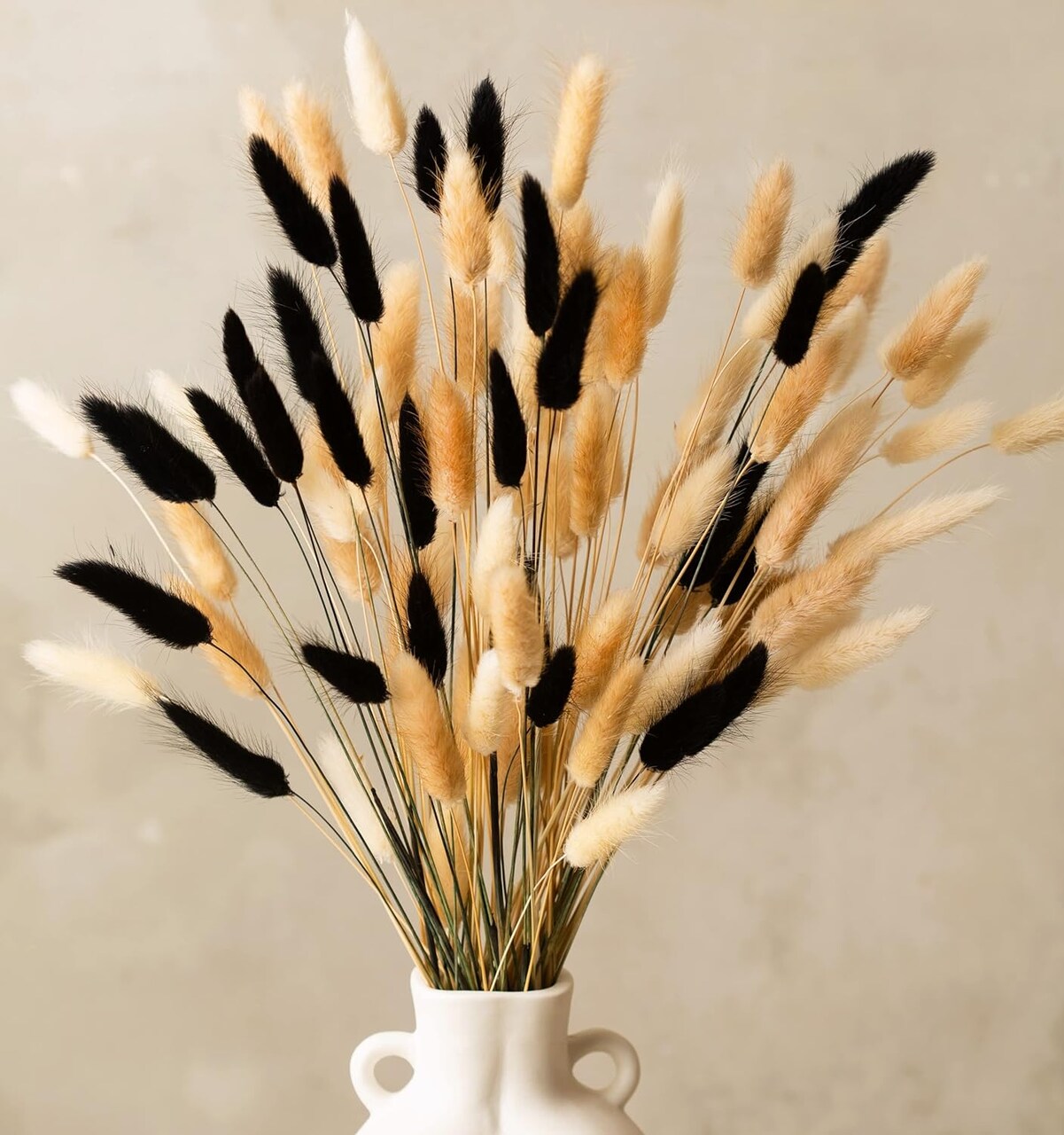 100 Stems Bunny Tails Pampas Grass Dried Flowers - 30pcs Black, 30pcs White, 40pcs Natural Brown, Boho Home & Kitchen Decor, Pampas Grass Decor